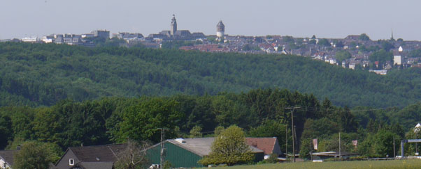 Blick auf Remscheid von Lüttringhausen / Blume Blick auf Remscheid von Lüttringhausen / Blume